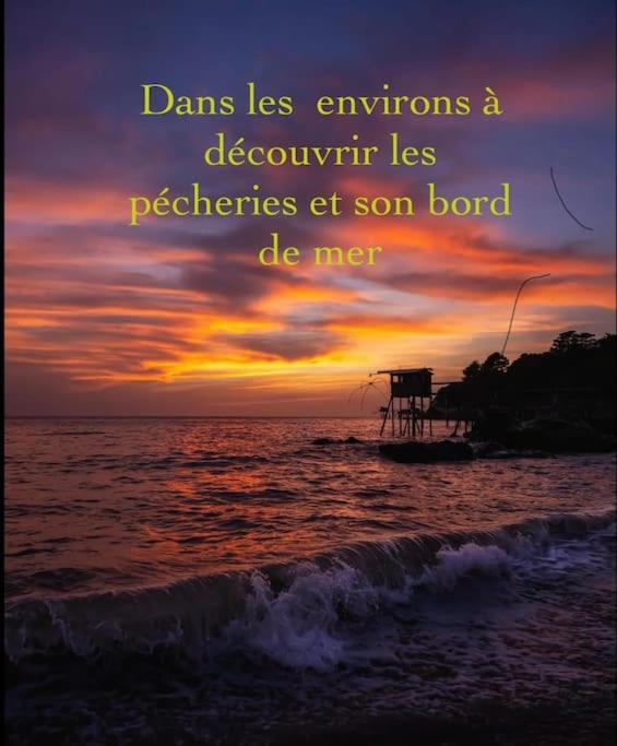 3Très Beau logement, idéalement situé , Plages, Port & Vélo à Disp - Appartement 1 Chambre - 42