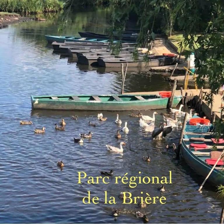 3Très Beau logement, idéalement situé , Plages, Port & Vélo à Disp - Appartement 1 Chambre - 41