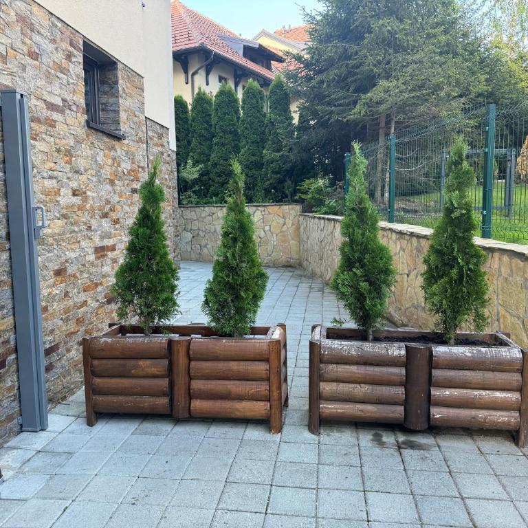 Angolo D’oro Zlatibor - Apartman sa 1 Spavaćom Sobom - 19
