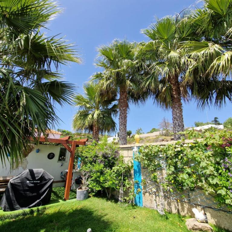 Typical Canarian House private jacuzzi, sauna, gym, Finca Conejo Taucho Adeje by Aqua Vista Tenerife - Casa de 2 dormitorios - 23