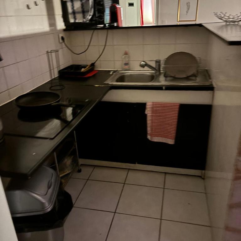Agréable Appartementbuttes-Chaumont - Appartamento con 1 Camera da Letto - 4