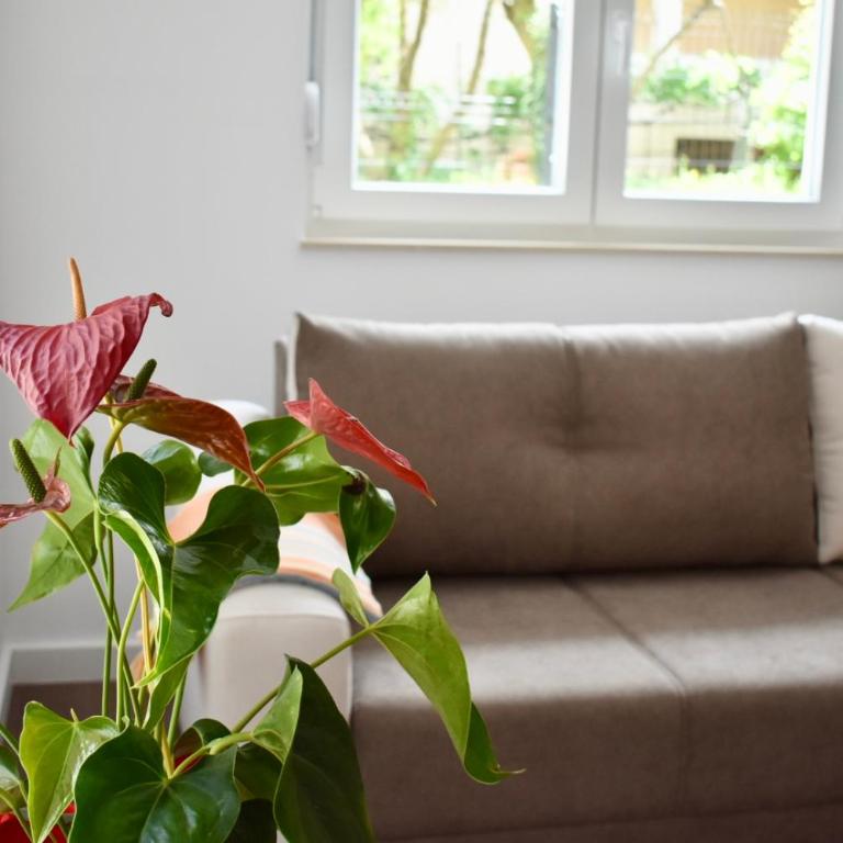 Bel Apartment - One-Bedroom Apartment - 30