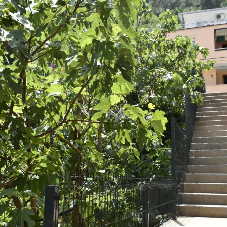 Bel Apartment - One-Bedroom Apartment - 39