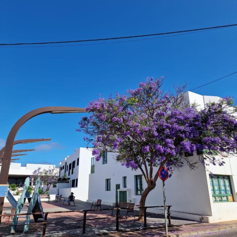 Apartamento Margarita - Two-Bedroom Apartment - 17