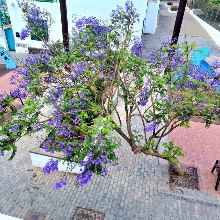 Apartamento Margarita - Two-Bedroom Apartment - 18