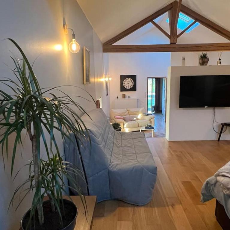 5 mn Vienne, confort et calme à la campagne - Appartement 1 Chambre - 14