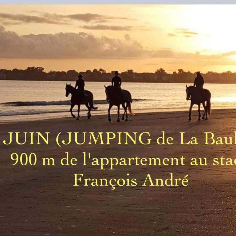Appt, TERRASSE ,Vélo , Plages & port à proximité , idéalement bien Situé, Dernier étage - Appartement avec Terrasse - 32