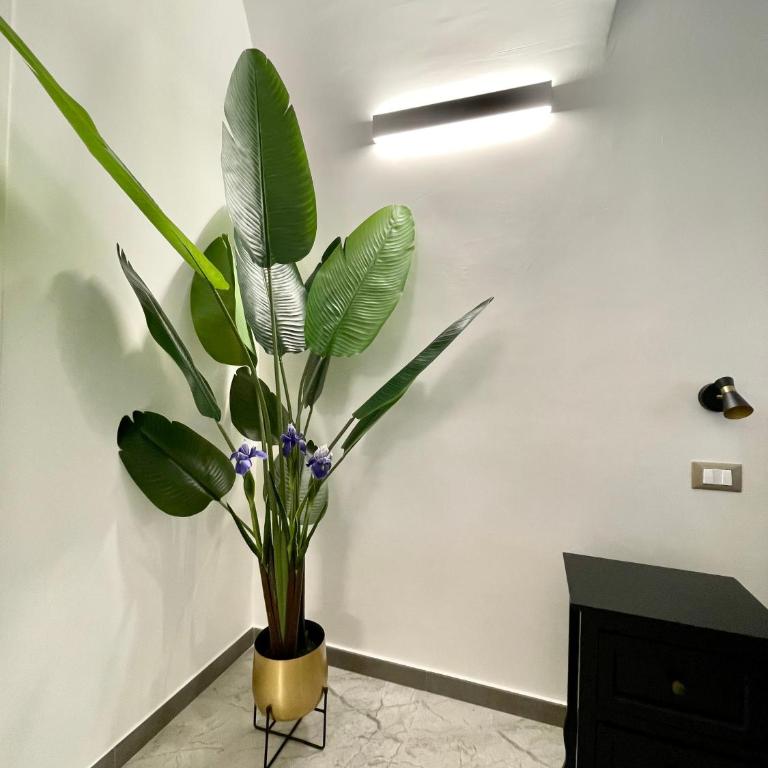 Nel Cuore di Palermo Isidoro Palace - Appartamento con 1 Camera da Letto e Balcone - 28