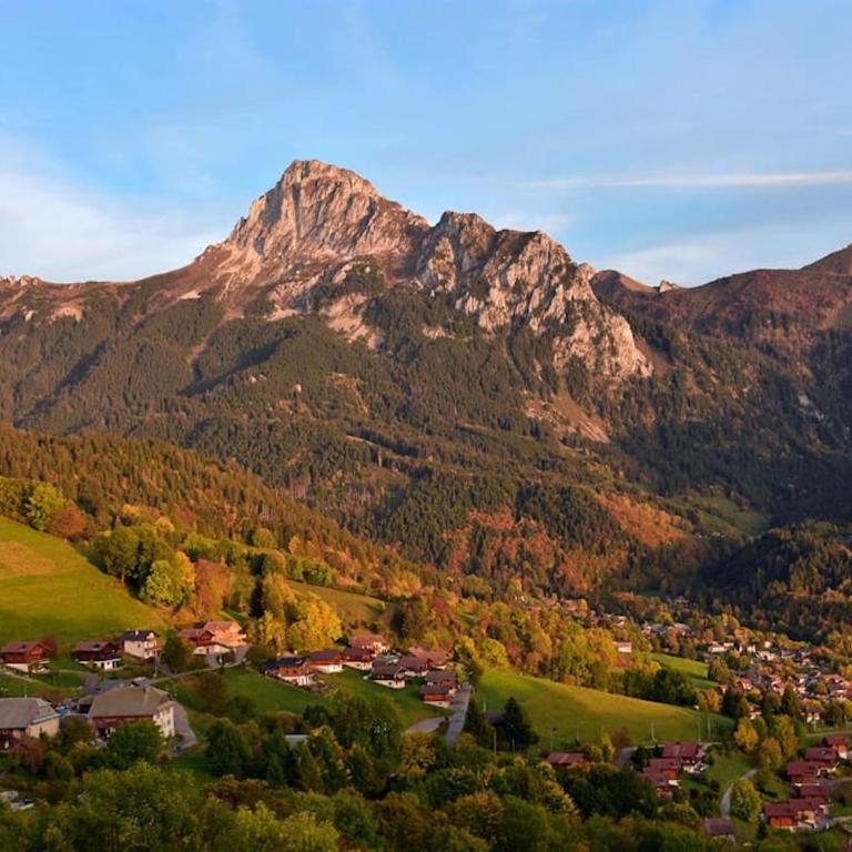 Chalet Altitude - Vue panoramique - 8 pers - Chalet - 28