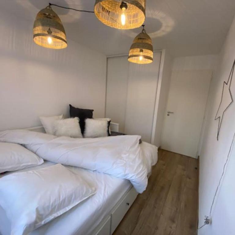 Appartement avec jardin privé à Duingt - Appartement - Rez-de-Chaussée - 20
