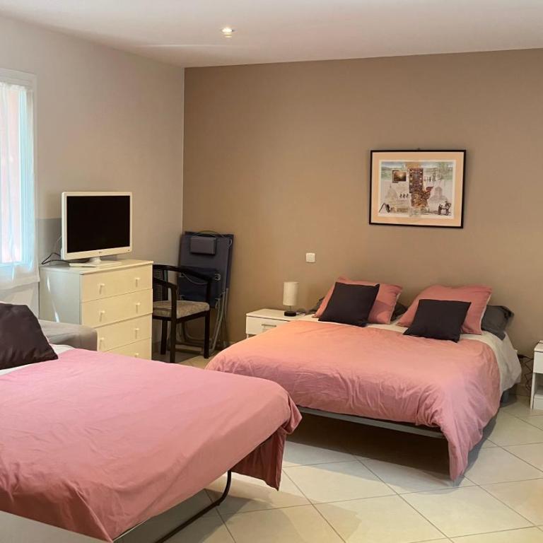 Studio indépendant calme pas loin du centre - Apartment with Garden View - 13