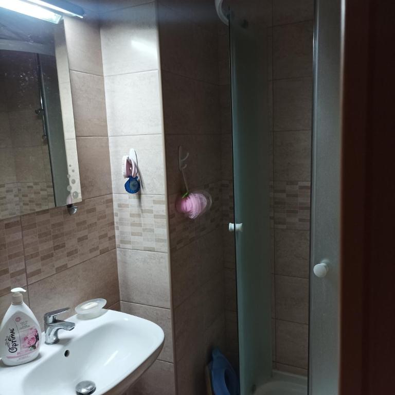 Stan Boskovica - Apartman sa 1 Spavaćom Sobom - 3