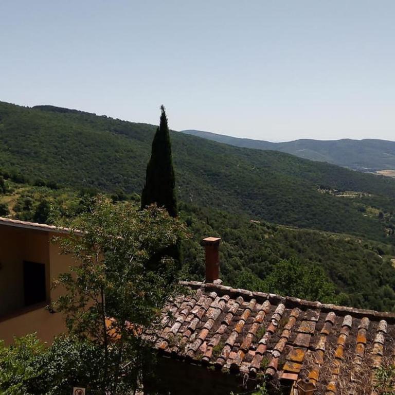 Il Ponticello Cortona - Chalet con 1 Camera da Letto - 22
