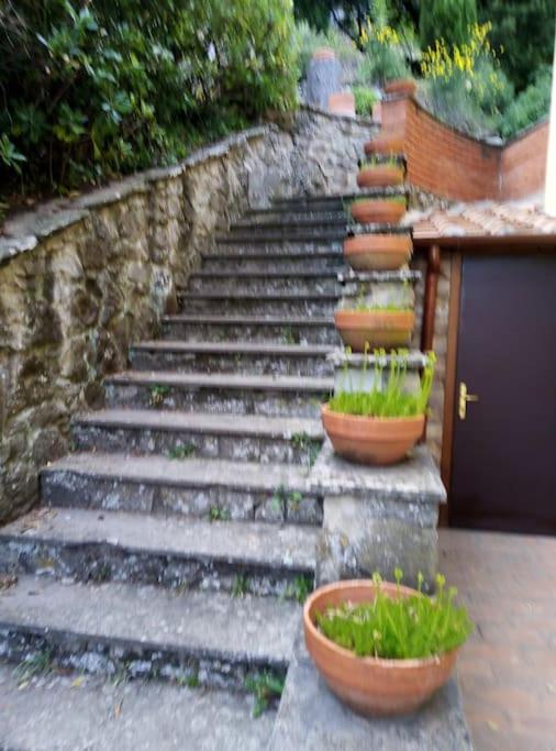 Il Ponticello Cortona - Chalet con 1 Camera da Letto - 26