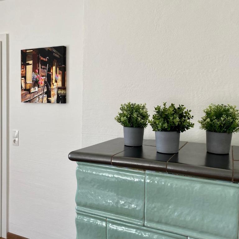 Appartements Wieseneck - Ferienwohnungen mit Bergblick - inklusive Schladming Dachstein Card! - Deluxe Apartment mit 1 Schlafzimmer - 9