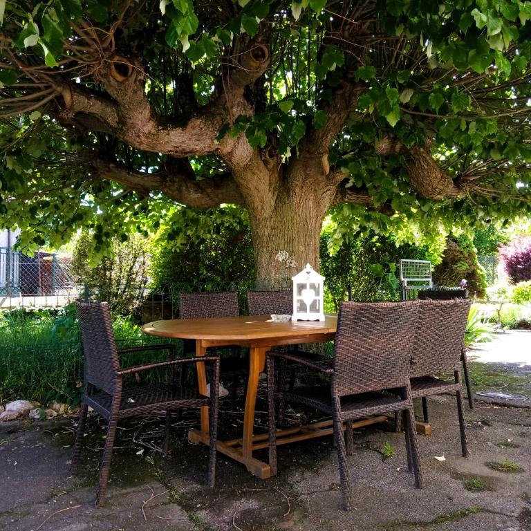 Rosalie Cottage - Appartement 1 Chambre - 21