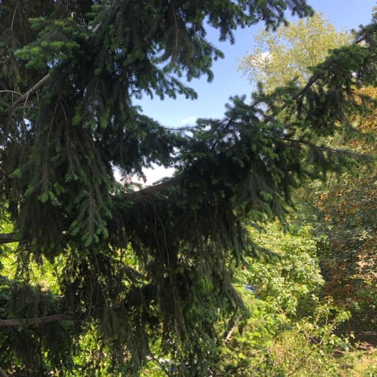 Simona Apartment - Apartman sa 1 Spavaćom Sobom - 14