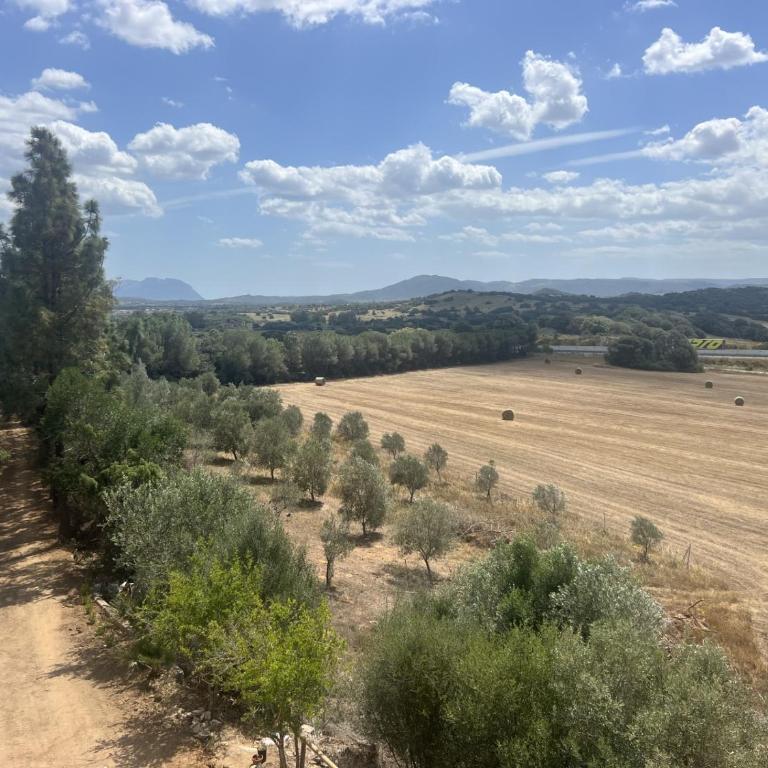 Agreen Country House - Appartamento con 2 Camere da Letto - 16