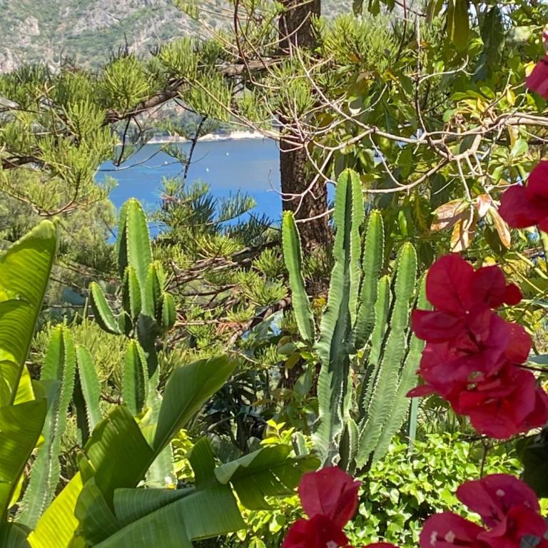 Hidden Paradise Luxury Sea View Villa EZE - Villa avec Piscine Privée - 53
