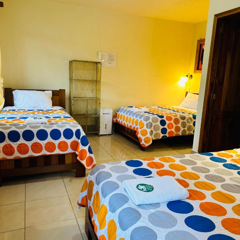La Casa de Cecilia Mindo - Habitación Familiar Estándar - 2