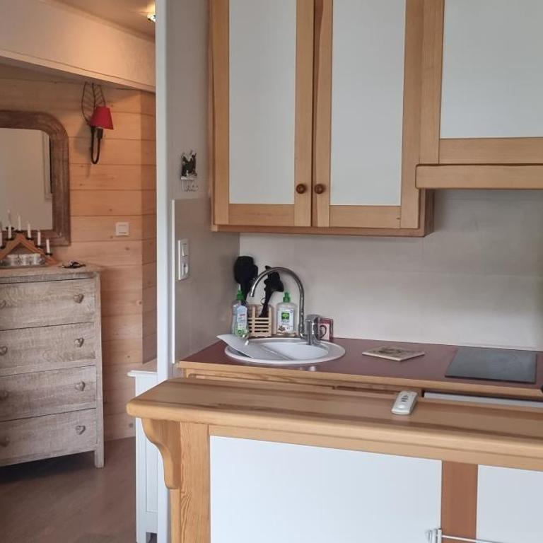 VARS LES CLAUX - Appartement 1 Chambre - 16
