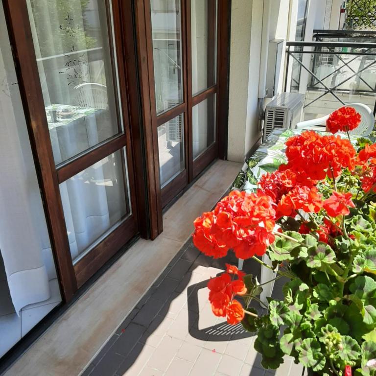 Casa Di Iana - Appartamento con 2 Camere da Letto - 23