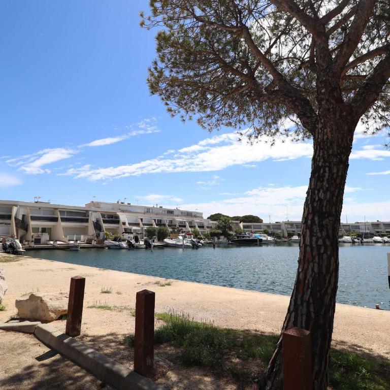 Marina 2 pièces avec terrasse et parking, animaux admis, proche plage - FR-1-307-260 - Appartamento - 15
