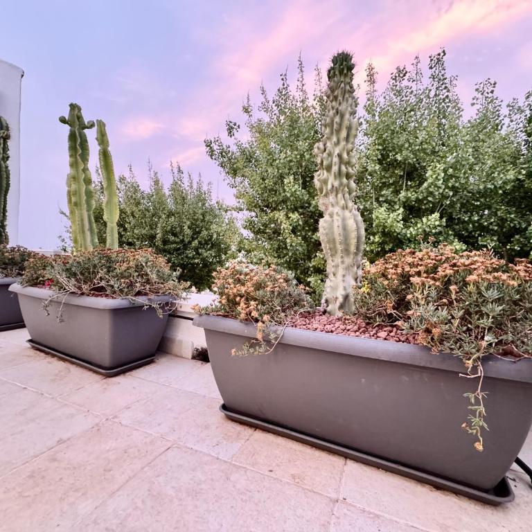 18zero2 luxury rooms - Junior Suite con Terrazza - 5