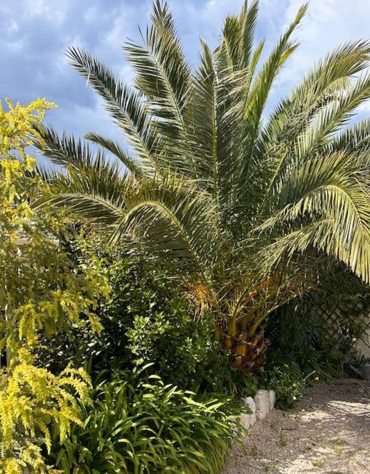Villa Lou Carou - Vue mer et Baie de Nice - Villa with Private Pool - 63