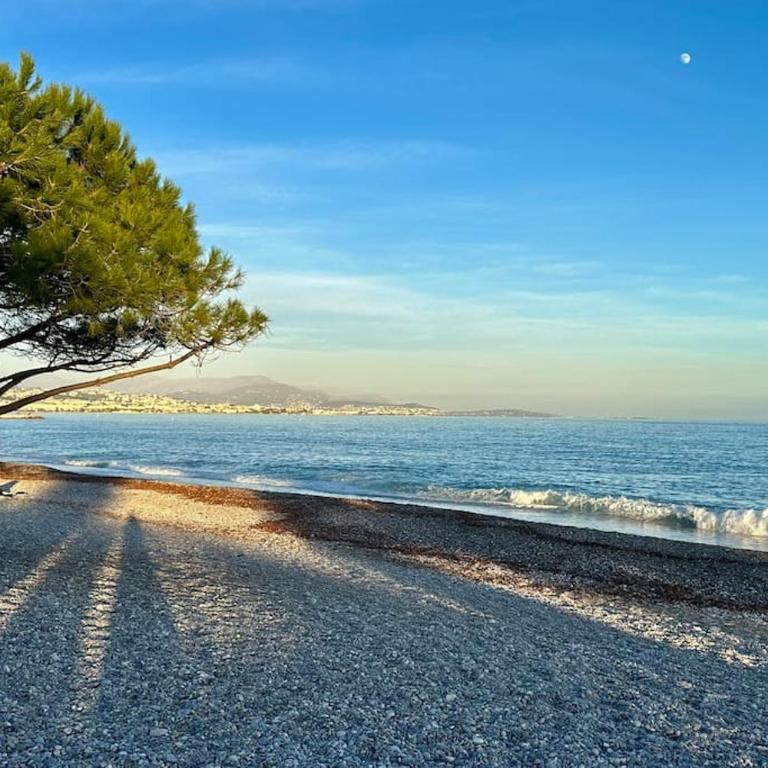 Villa Lou Carou - Vue mer et Baie de Nice - Villa with Private Pool - 54