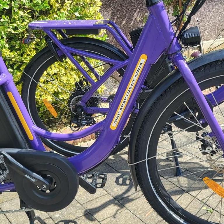 Zwei Schlafzimmer Ferienapartment Anna am Stubenbergsee inklusive vier E-Bikes - Apartment mit 2 Schlafzimmern - 11