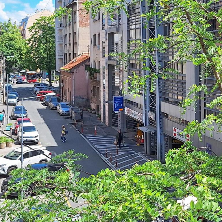 "Smile" Studio Apartment in Belgrade Downtown - Studio sa Balkonom - 20