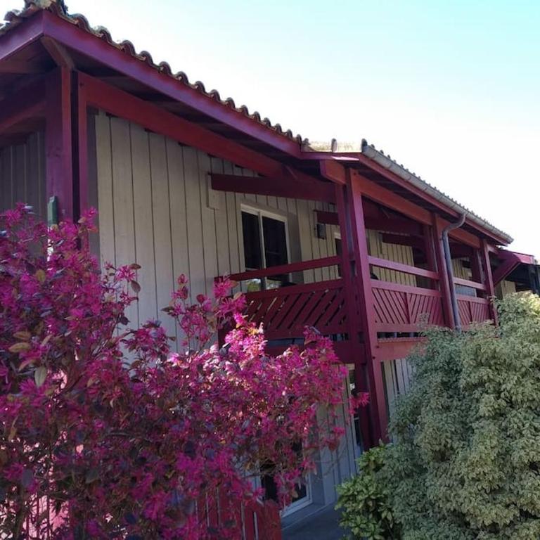Appartement LE DAOUN Dunes, Pins Océan et Golf - Appartement 1 Chambre - 1