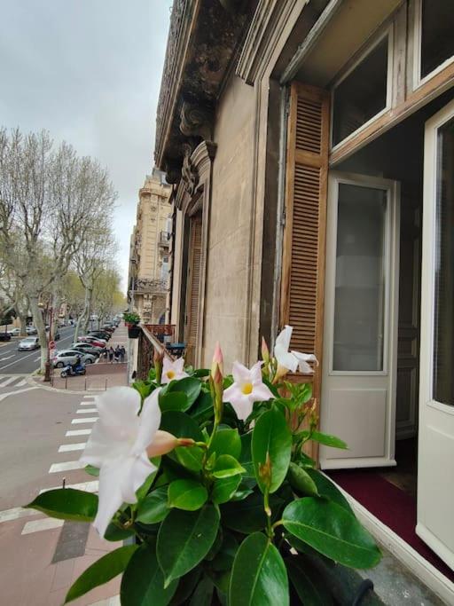Will's Appart - Appartement 1 Chambre - 33