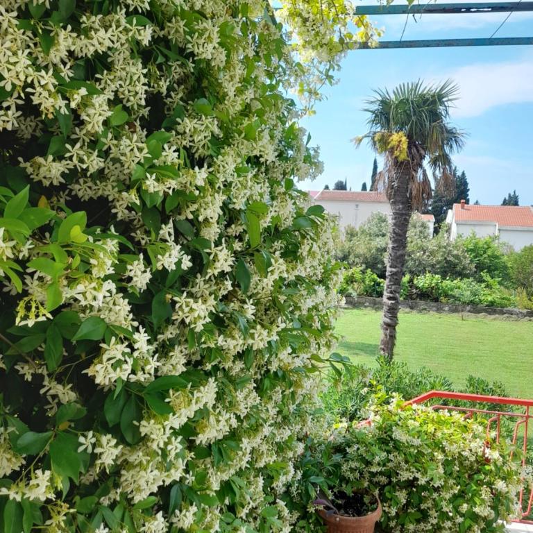 Stone House in Buljarica - Two-Bedroom House - 3