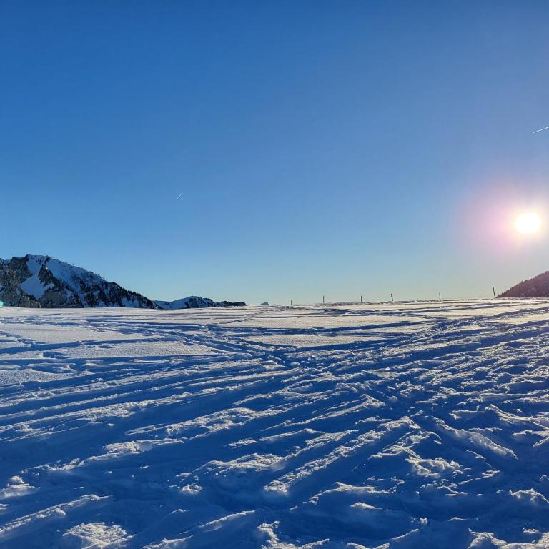 Dans un village savoyard a 1000 m d'altitude bel appartement spacieux de140m2 avec vue magnifique sur la montagne - Appartement avec Vue sur la Montagne - 36