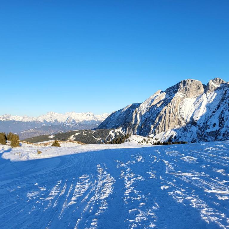 Dans un village savoyard a 1000 m d'altitude bel appartement spacieux de140m2 avec vue magnifique sur la montagne - Appartement avec Vue sur la Montagne - 37