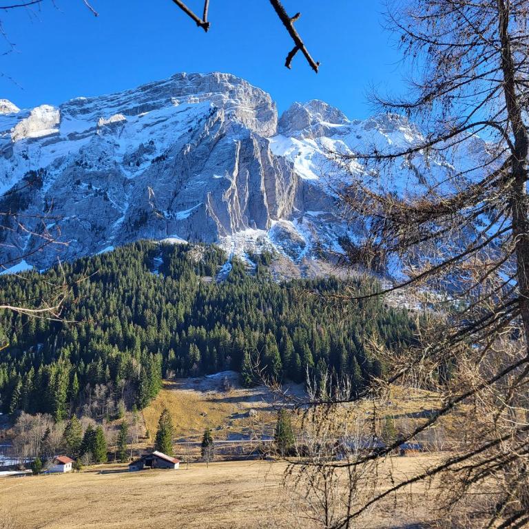 Dans un village savoyard a 1000 m d'altitude bel appartement spacieux de140m2 avec vue magnifique sur la montagne - Appartement avec Vue sur la Montagne - 39