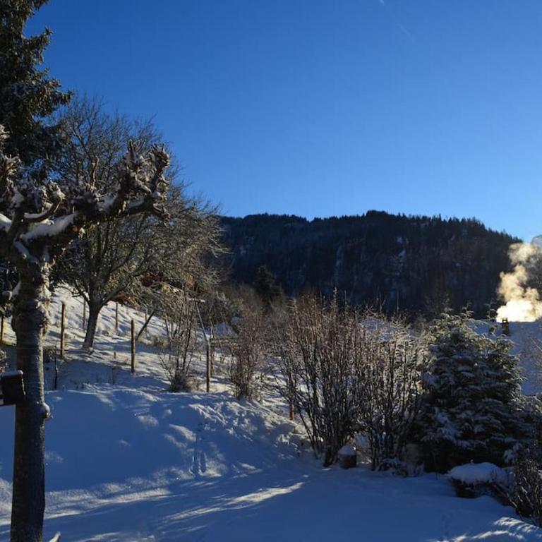 Charmant studio, plein sud, sport et relax - Appartement 1 Chambre - 8