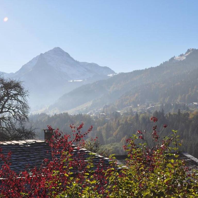 Charmant studio, plein sud, sport et relax - Appartement 1 Chambre - 1