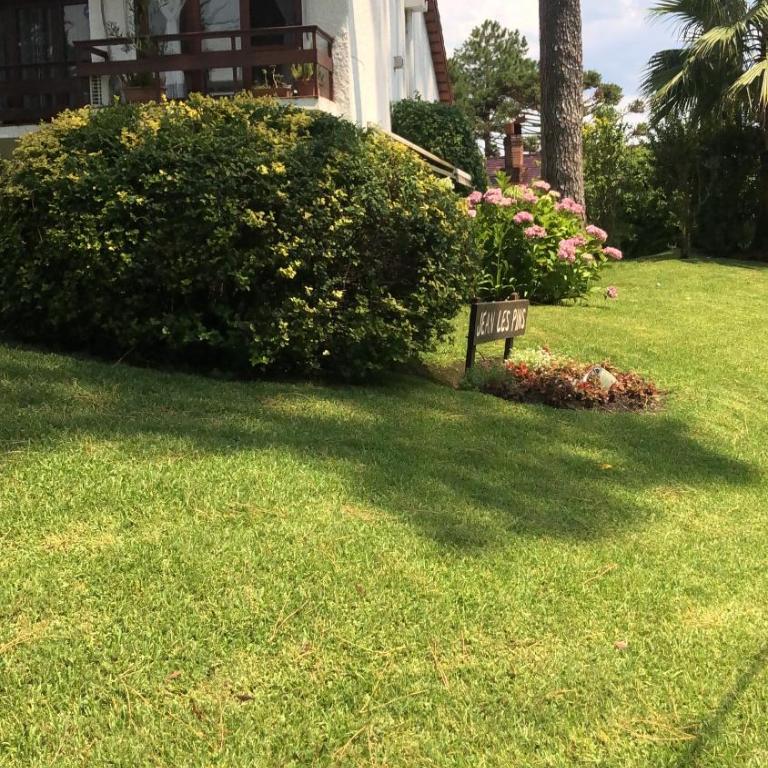 Les Pins , Av Pedragosa Sierra P Del Este , 2 dormitorios - Apartamento de 1 dormitorio - 9