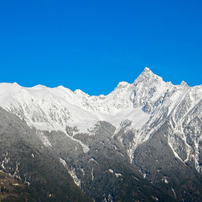Ferienhaus Alpina Ötztal - Apartment mit Blick auf die Berge - 51
