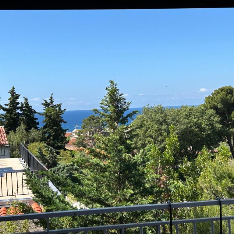 Cassis appartement vue mer balneo - Appartamento con 2 Camere da Letto - 2