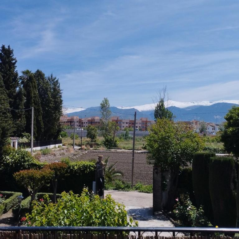 VIVIENDA RURAL HUERTA DEl MEDIO - Four-Bedroom House - 49