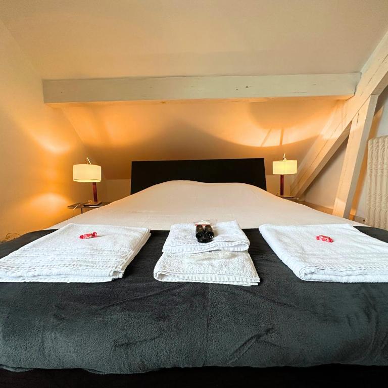 Villa RENNAISSANCE - Proche Mer - Parking - Ménage & Linge inclus - Maison 3 Chambres - 21