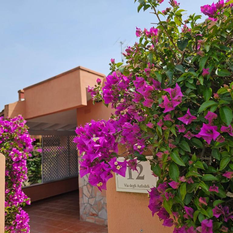 Sunrise Luna - Casa Vacanze - 3