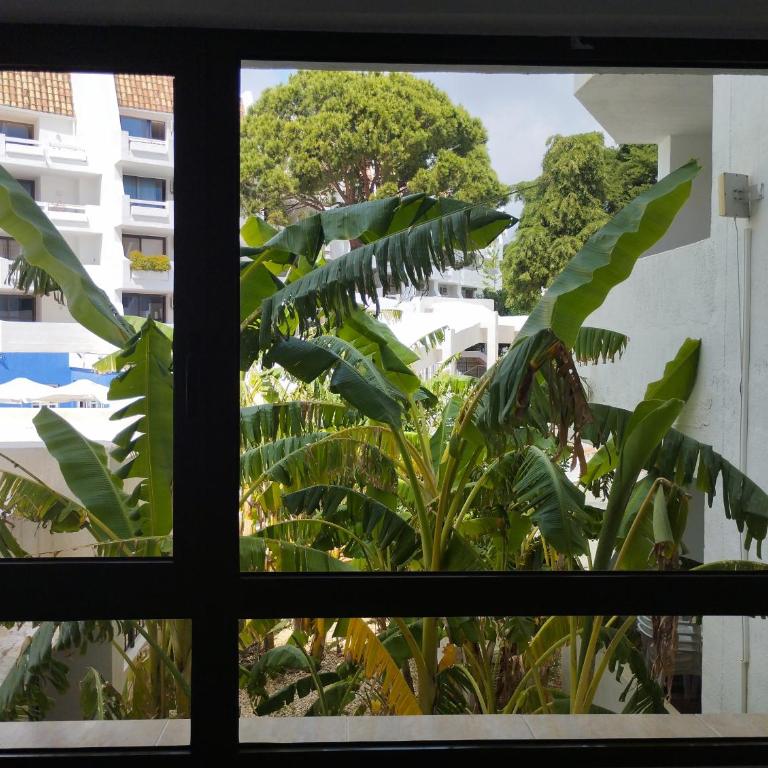 Playa Las Fuentes - Estudio - 27