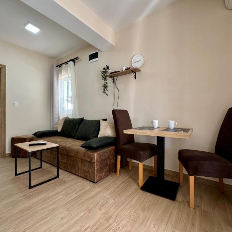 Apartmani Danilovic - One-Bedroom Apartment - 10