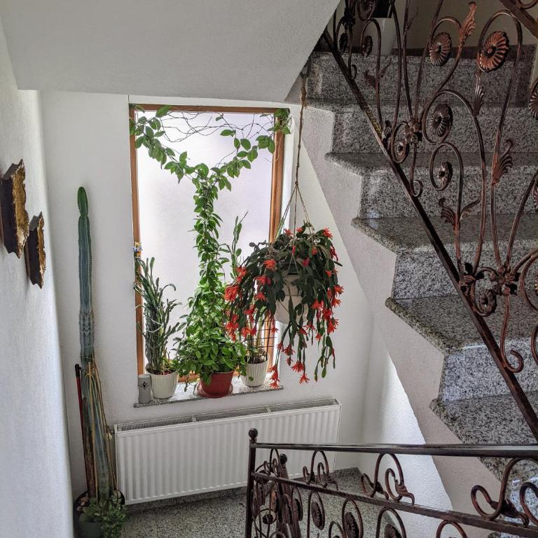 Apartmani Hrastik 2 - One-Bedroom Apartment - 43