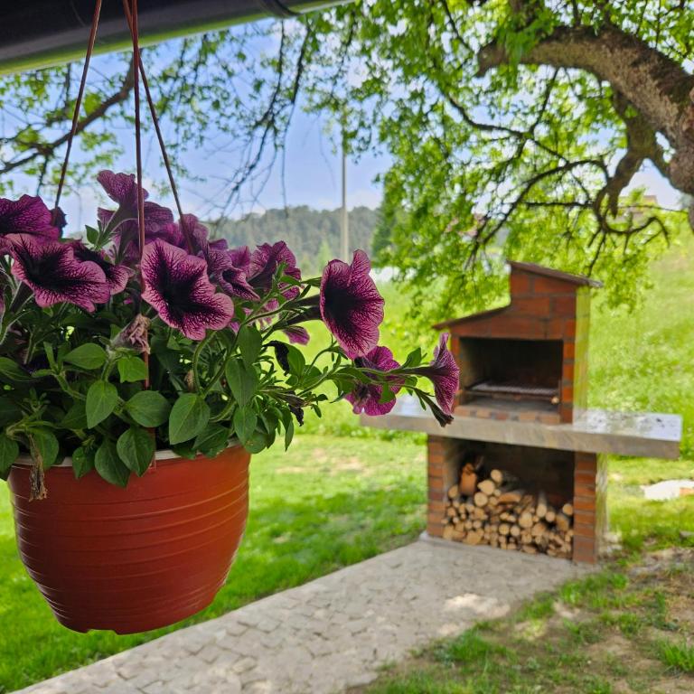 Brvnara ispod stare kruške - Kuća sa 2 Spavaće Sobe - 2